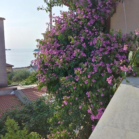 Luna Tsuki Seven Aparthotel Rovinj Exterior foto