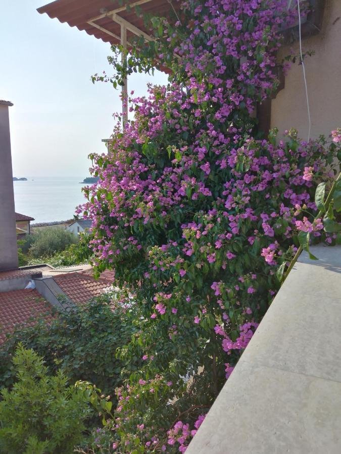 Luna Tsuki Seven Aparthotel Rovinj Exterior foto